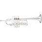 Eastman ETR530S Advanced Series Trumpet Silver Yellow Brass Bell thumbnail