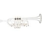 Eastman ETR540S Advanced Series Eb/D Trumpet Silver Yellow Brass Bell thumbnail