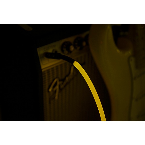 Fender Professional Series Glow In The Dark Straight to Straight Instrument Cable 10 ft. Orange