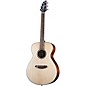 Open Box Breedlove Discovery S Sitka-African Mahogany Concert Acoustic Guitar Level 2 Natural 194744887154