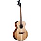 Breedlove Discovery S Red Cedar-African Mahogany Companion Acoustic Guitar Natural