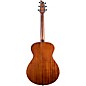 Clearance Breedlove Discovery S Sitka-African Mahogany HB Concert Acoustic Guitar Bourbon