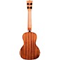 Kala Solid Cedar Top Acacia Concert Ukulele Natural