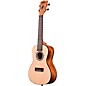 Kala Emi Sunshine Concert Ukulele w/ bag Natural