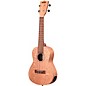 Kala Burled Meranti Concert Acoustic Electric Ukulele Natural