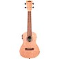 Kala Burled Meranti Concert Acoustic Electric Ukulele Natural