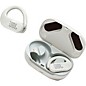 JBL ENDURANCE PEAK II Waterproof True Wireless In-Ear Sport Headphones White