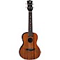 Open Box Luna Tattoo Concert Ukulele Level 1 Mahogany thumbnail