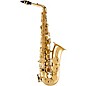 Selmer SAS711 Professional Alto Saxophone Lacquer thumbnail