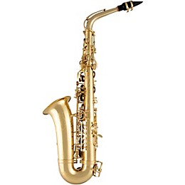 Selmer SAS711 Professional Alto Saxophone Lacquer