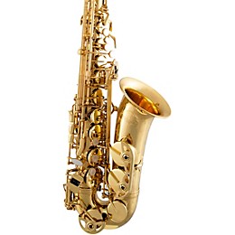 Selmer SAS711 Professional Alto Saxophone Lacquer