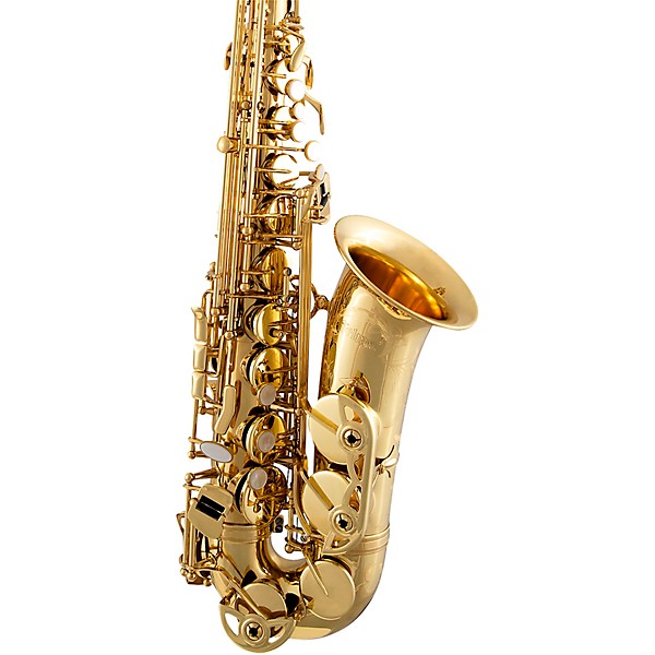 Selmer SAS711 Professional Alto Saxophone Lacquer