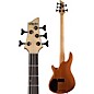 Schecter Guitar Research C-5 GT 5-String Electric Bass Guitar Satin Natural