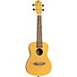 Ortega Earth Series RU Concert Ukulele Gold thumbnail