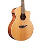 Open Box Ibanez PA Series Fingerstyle Acoustic Electric Guitar Level 2 Natural Satin 194744480164 thumbnail