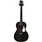 PRS SE P20E Parlor Acoustic-Electric Guitar Dog Hair