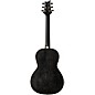 PRS SE P20E Parlor Acoustic-Electric Guitar Dog Hair