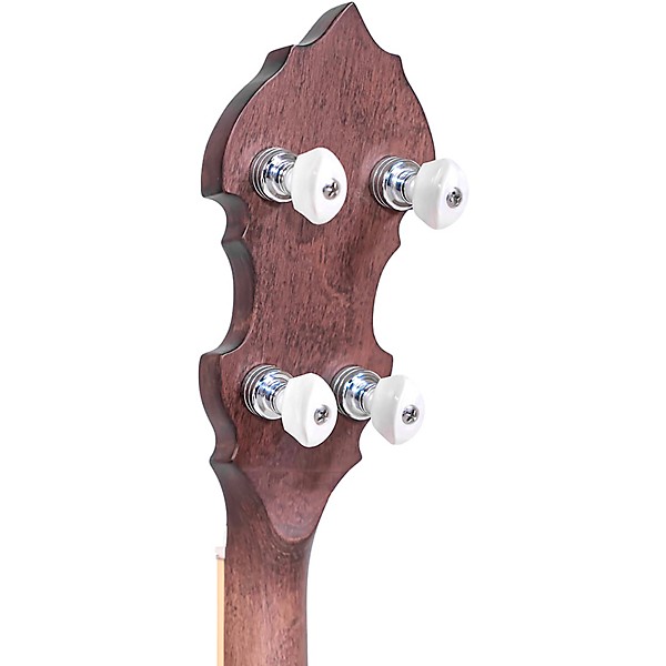 Gold Tone Professional Bluegrass Banjo Radius Fingerboard Vintage Walnut