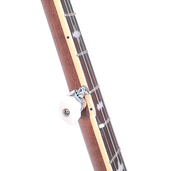 Gold Tone Professional Bluegrass Banjo Radius Fingerboard Vintage Walnut