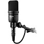 Audix A131 Large-diaphragm Condenser Microphone