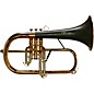 daCarbo Professional Series Flugelhorn with Carbon Fiber Bell Gold Lacquer thumbnail