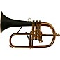 daCarbo Professional Series Flugelhorn with Carbon Fiber Bell Gold Lacquer