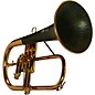 daCarbo Professional Series Flugelhorn with Carbon Fiber Bell Gold Lacquer