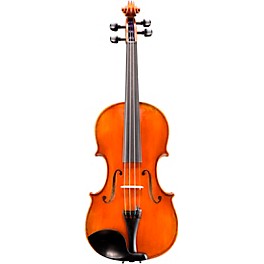 Eastman VL601 Albert Nebel Series Advanced Violin Outfit 4/4