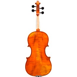 Eastman VL601 Albert Nebel Series Advanced Violin Outfit 4/4