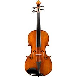 Eastman VA601 Albert Nebel Series Advanced Viola Outfit 15 in.