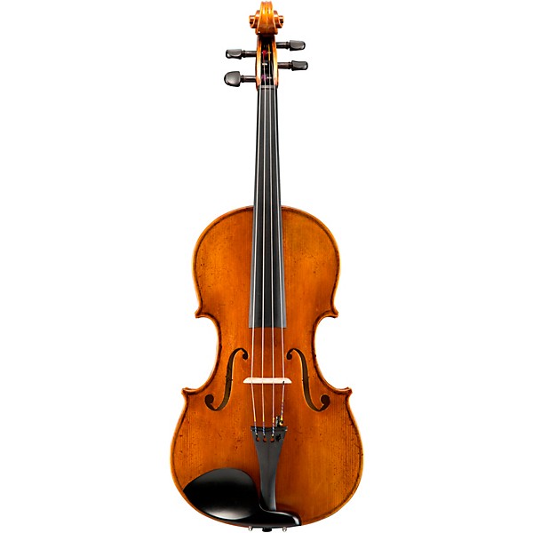 Eastman VA601 Albert Nebel Series Advanced Viola Outfit 15 in.