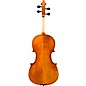 Eastman VA601 Albert Nebel Series Advanced Viola Outfit 15 in.