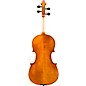 Eastman VA601 Albert Nebel Series Advanced Viola Outfit 15.5 in.