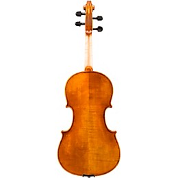 Eastman VA601 Albert Nebel Series Advanced Viola Outfit 16.5 in.