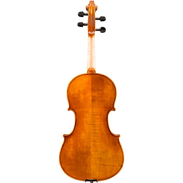 Eastman VA601 Albert Nebel Series Advanced Viola Outfit 16.5 in.