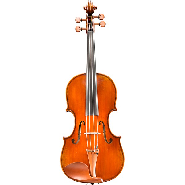 Eastman VA405 Andreas Eastman Series Student Viola Outfit 15.5 in.