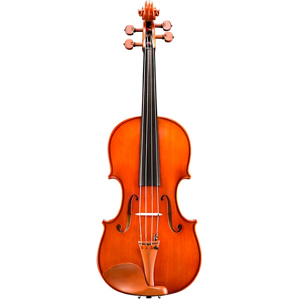 Eastman VA200 Series Step-Up Viola Outfit 11 in.