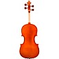 Eastman VA200 Series Step-Up Viola Outfit 11 in.