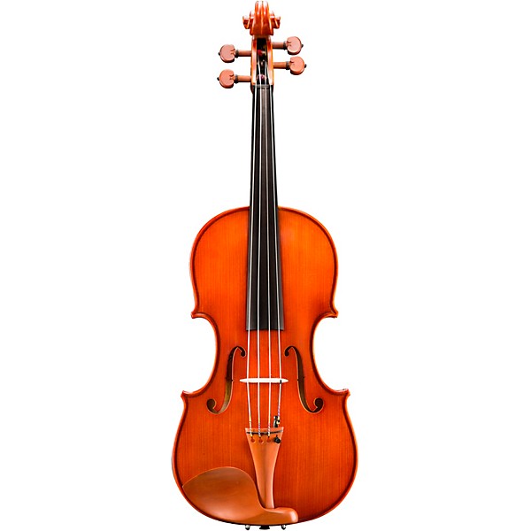 Eastman VA200 Series Step-Up Viola Outfit 15.5 in.