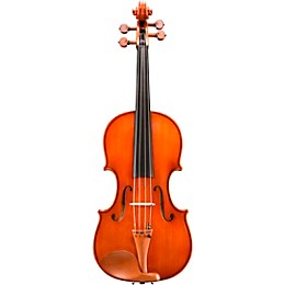 Eastman VA200 Series Step-Up Viola Outfit 16 in.