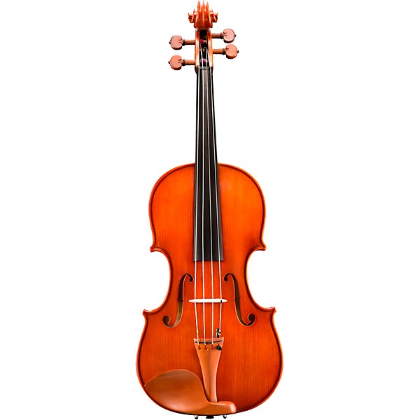 Eastman VA200 Series Step-Up Viola Outfit 16.5 in.