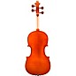 Eastman VA200 Series Step-Up Viola Outfit 16.5 in.