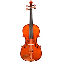 Eastman VA200 Series Step-Up Viola Outfit 14 in.