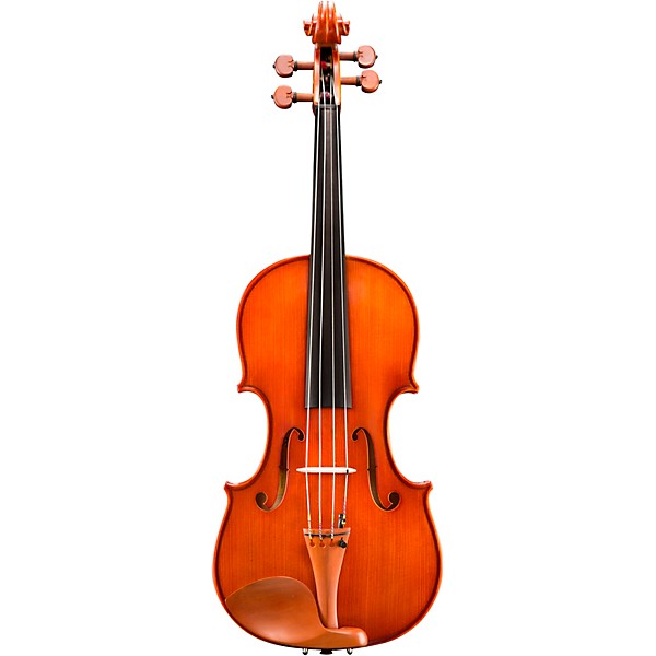 Eastman VA200 Series Step-Up Viola Outfit 14 in.