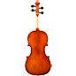 Eastman VA100 Samuel Eastman Series Student Viola Outfit 13 in.