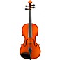 Eastman VA100 Samuel Eastman Series Student Viola Outfit 14 in. thumbnail