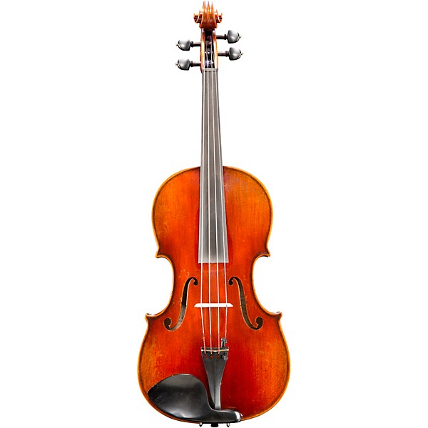 Eastman VA605 Master Series Advanced Viola Outfit 15.5 in.