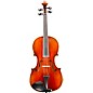 Eastman VA605 Master Series Advanced Viola Outfit 15.5 in. thumbnail