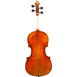 Eastman VA605 Master Series Advanced Viola Outfit 15.5 in.