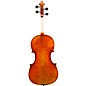 Eastman VA605 Master Series Advanced Viola Outfit 15.5 in.